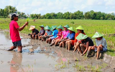 Extended Studies SD Yayasan Pendidikan Jayawijaya 2024